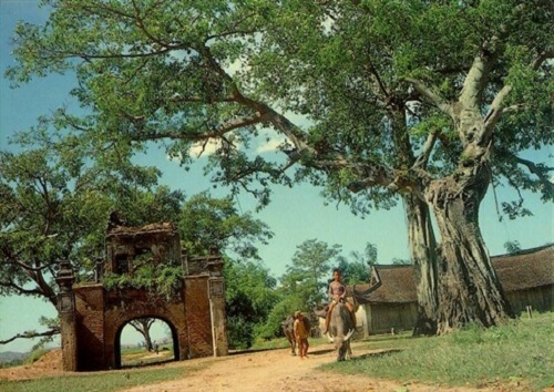 Thô Hà, village du du métier du delta du Nord Vietnam